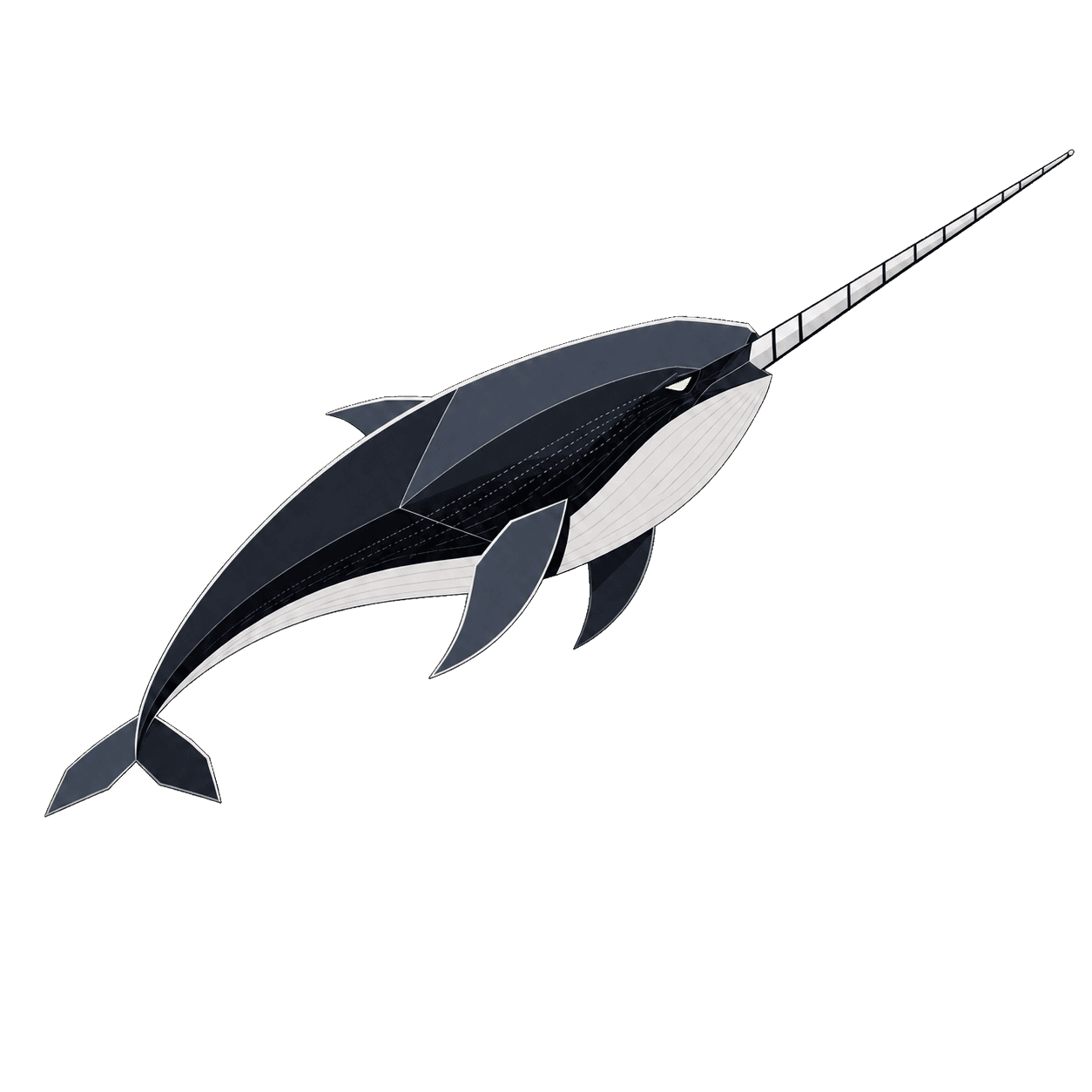 Kovacs geometric narwhal